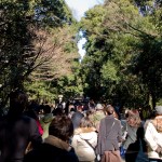 明治神宮参道 明治神宮参道